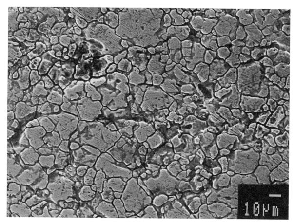 Intergranular corrosion